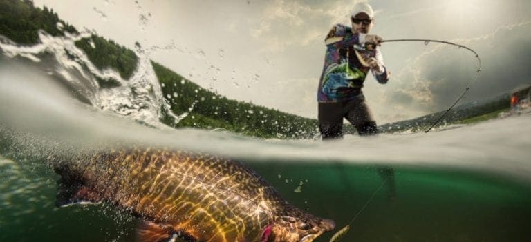 Fish and Wildlife Attorney