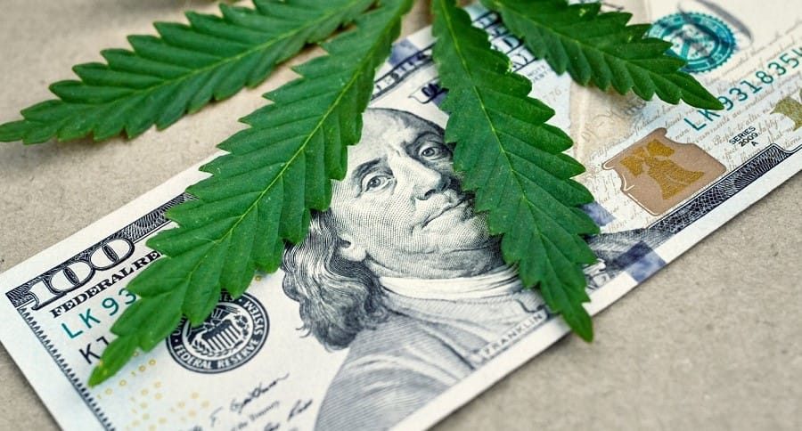 What Licenses Are Needed to Start Cannabis Business